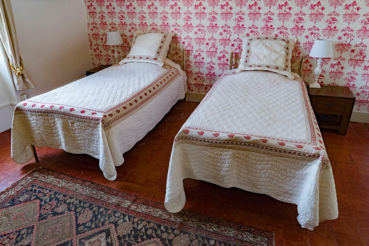 La Maison Des Palmiers Homps  Zewnętrze zdjęcie